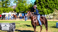 BOTB2019_4334