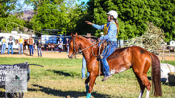 BOTB2019_4424