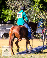 BOTB2019_4387