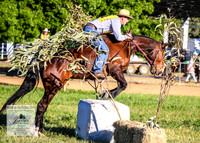 BOTB2019_4295