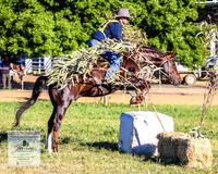 BOTB2019_4345
