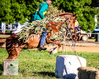 BOTB2019_4395