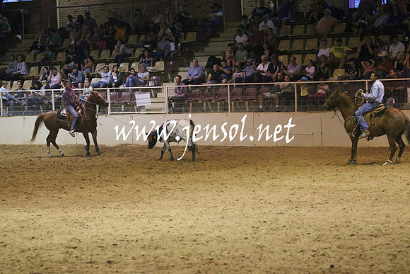 RealDealRodeoNov2013_0993
