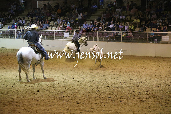 RealDealRodeoNov2013_1329