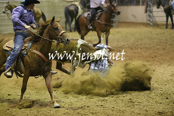 RealDealRodeoNov2013_0978
