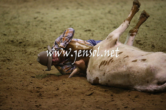 RealDealRodeoNov2013_1942