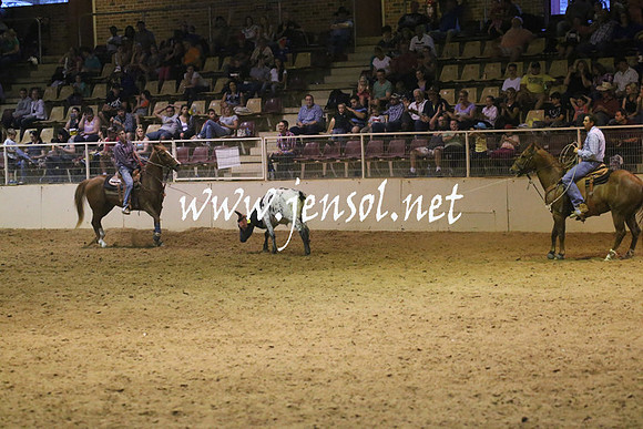 RealDealRodeoNov2013_0995
