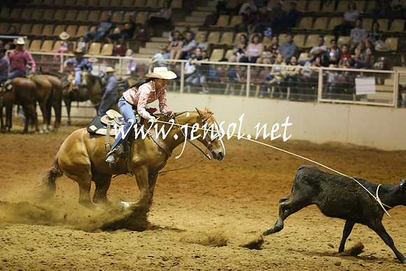 RealDealRodeoNov2013_0742