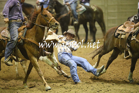 RealDealRodeoNov2013_1931