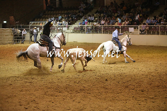 RealDealRodeoNov2013_1326