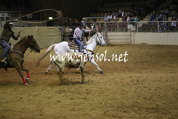 RealDealRodeoNov2013_1336