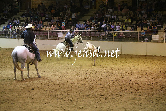 RealDealRodeoNov2013_1331