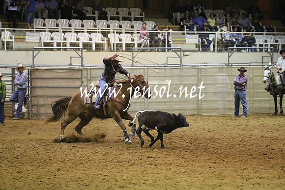 RealDealRodeoNov2013_1522
