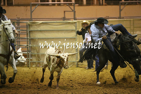 RealDealRodeoNov2013_1920