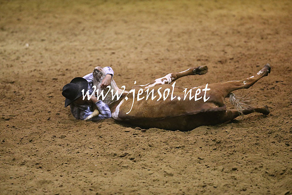 RealDealRodeoNov2013_0980