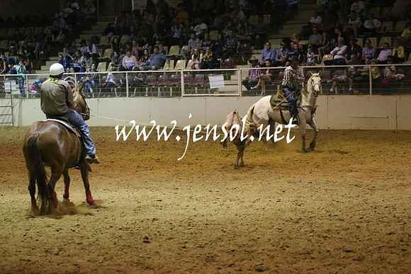RealDealRodeoNov2013_1347