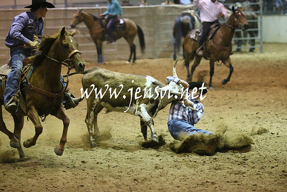 RealDealRodeoNov2013_0976