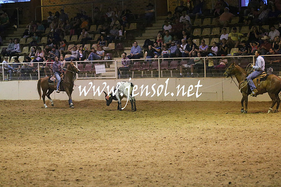 RealDealRodeoNov2013_0996