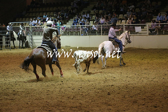 RealDealRodeoNov2013_1341
