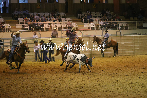 RealDealRodeoNov2013_0983