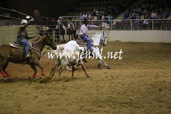 RealDealRodeoNov2013_1339