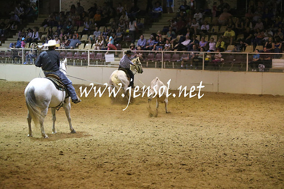 RealDealRodeoNov2013_1328