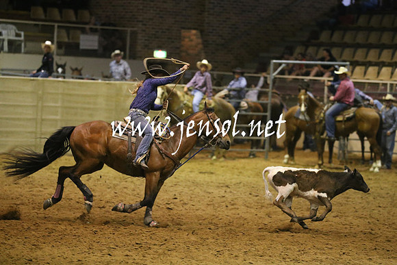 RealDealRodeoNov2013_0769