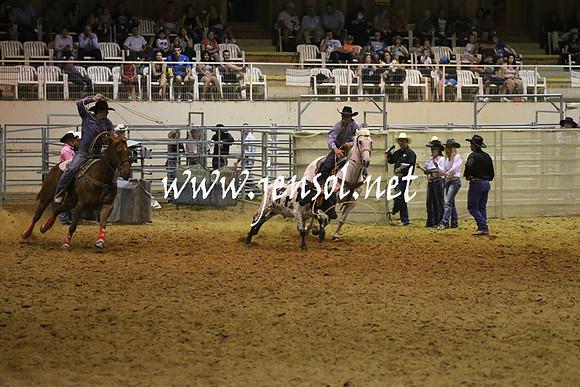 RealDealRodeoNov2013_1332