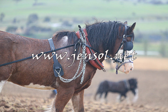 WooBack_0501