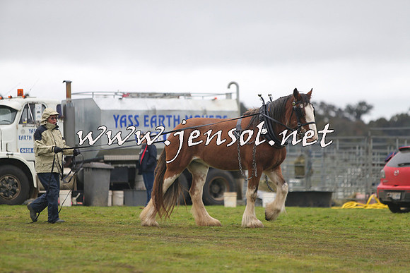 WooBack_0445