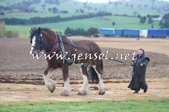 WooBack_0495