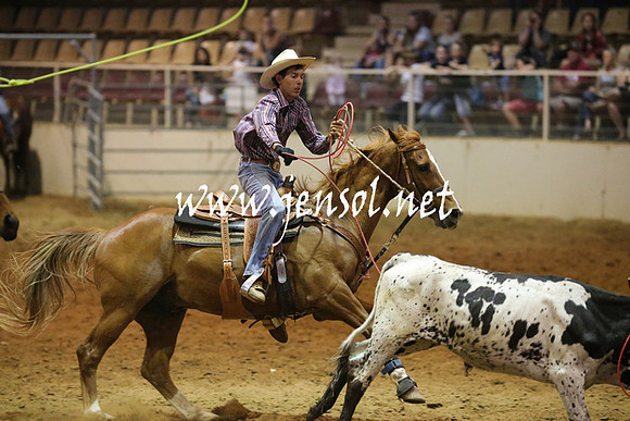 RealDealRodeoNov2013_0697