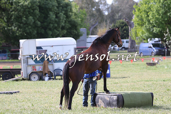 Battleonthebidgee_0777