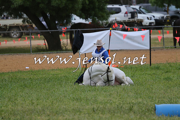 Battleonthebidgee_0910