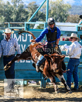 Tumut_Rodeo_2008 027