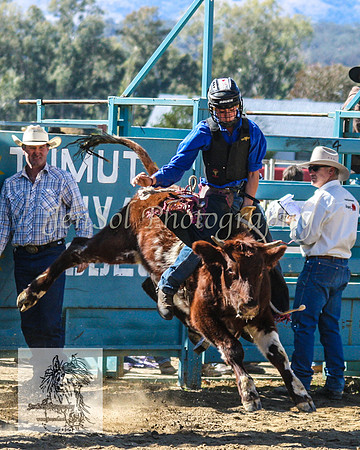 Tumut_Rodeo_2008 027