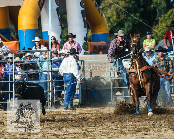 Tumut_Rodeo_2008 131