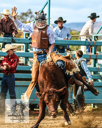 Tumut_Rodeo_2008 094