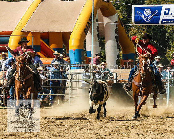 Tumut_Rodeo_2008 067
