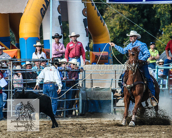 Tumut_Rodeo_2008 125