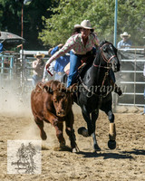 Tumut_Rodeo_2008 009