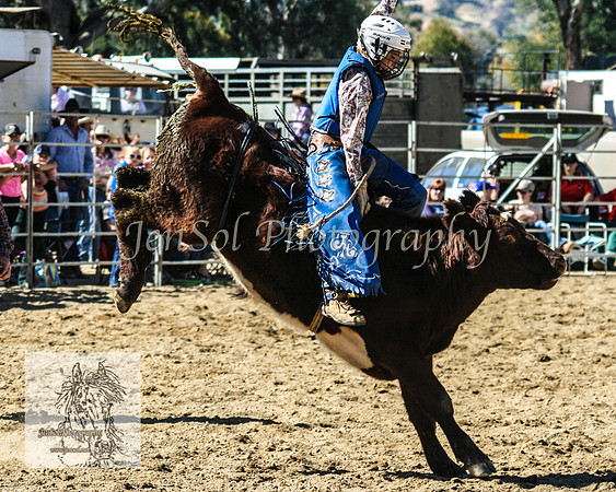 Tumut_Rodeo_2008 029