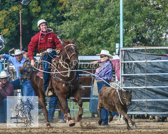 Tumut_Rodeo_2008 124