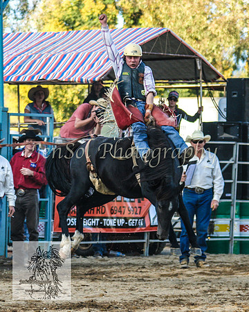 Tumut_Rodeo_2008 206