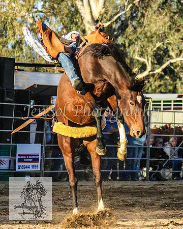 Tumut_Rodeo_2008 196