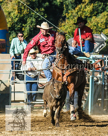 Tumut_Rodeo_2008 135