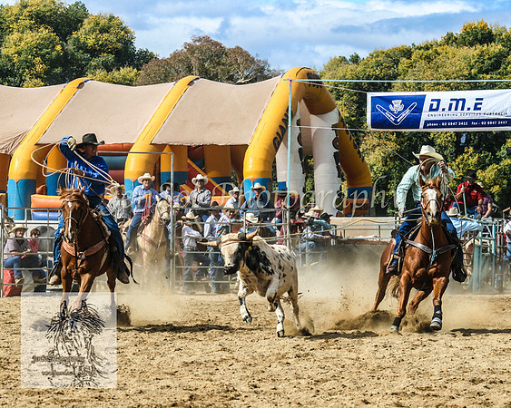 Tumut_Rodeo_2008 063