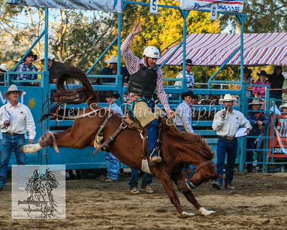 Tumut_Rodeo_2008 218