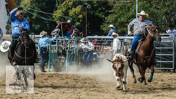 Tumut_Rodeo_2008 051