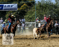 Tumut_Rodeo_2008 019